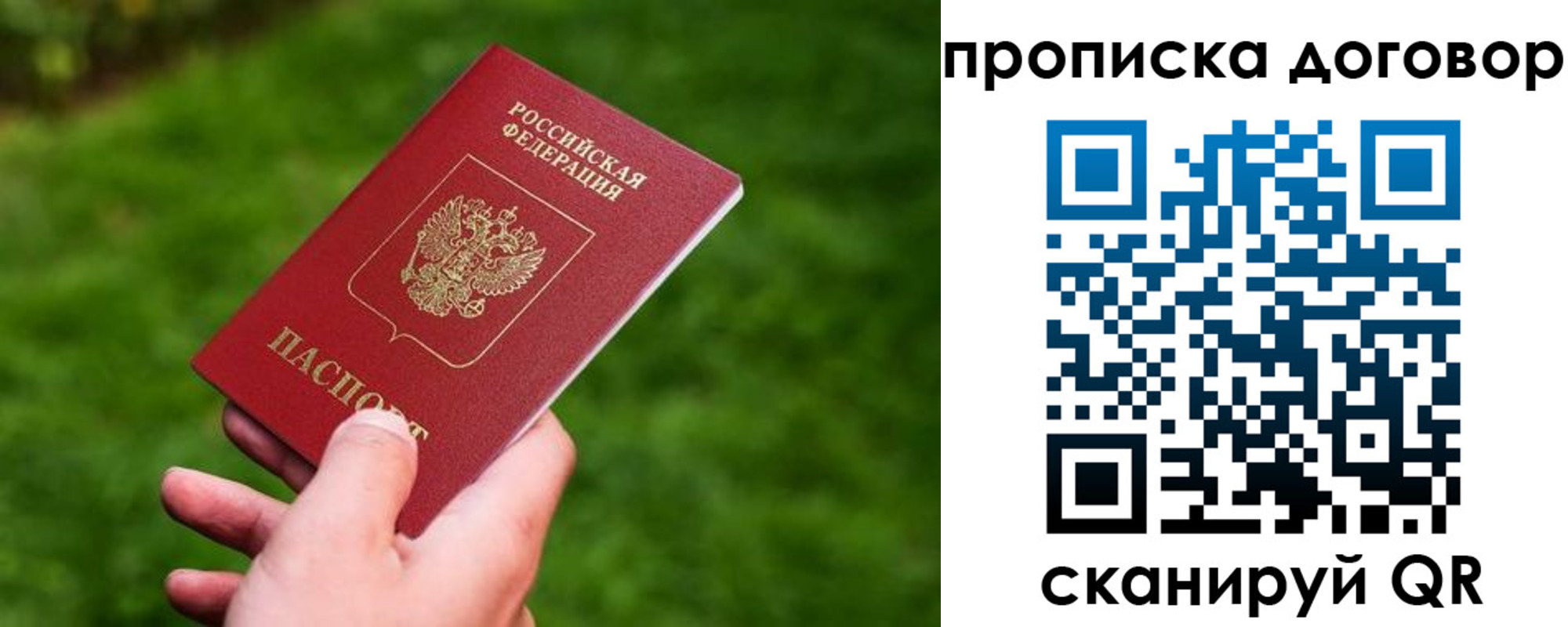 прописка гарантия в Краснозаводске
